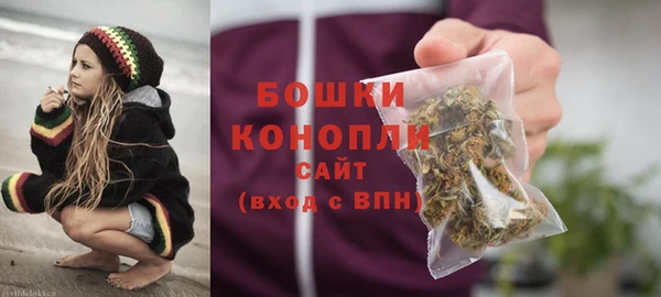 тгк Бородино