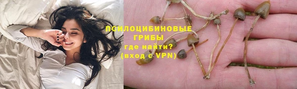 тгк Бородино