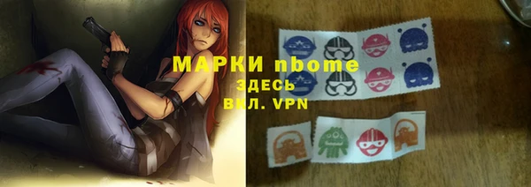 тгк Бородино