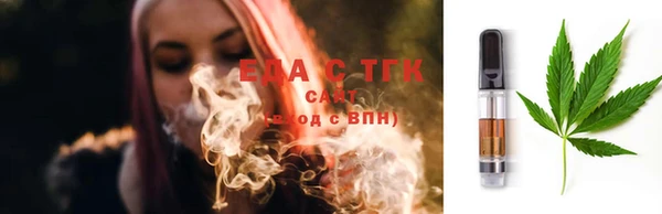 тгк Бородино