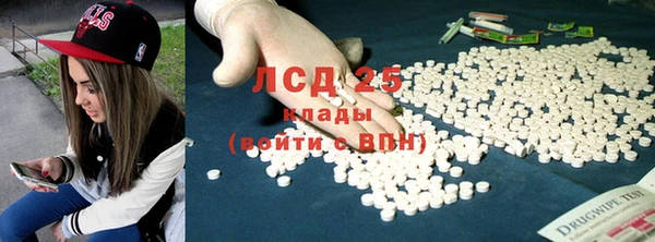 тгк Бородино