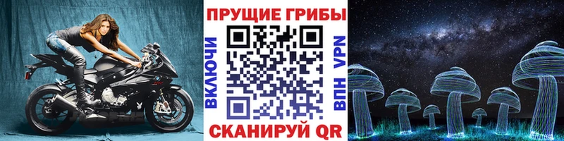Псилоцибиновые грибы мухоморы где купить Королёв