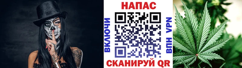 Шишки марихуана тримм  omg онион  Королёв 